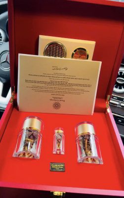 Đông Trùng Hạ Thảo tại ĐNĐ